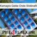 Kamagra Gelée Orale Sildénafil viagra2